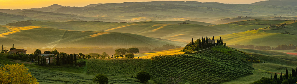 Tuscany Fields